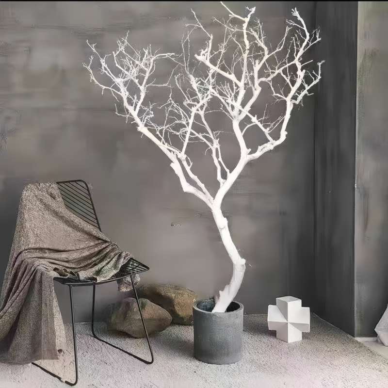 干树枝造景干枝树干橱窗装饰树原木树枝婚庆酒店造型树白树许愿树