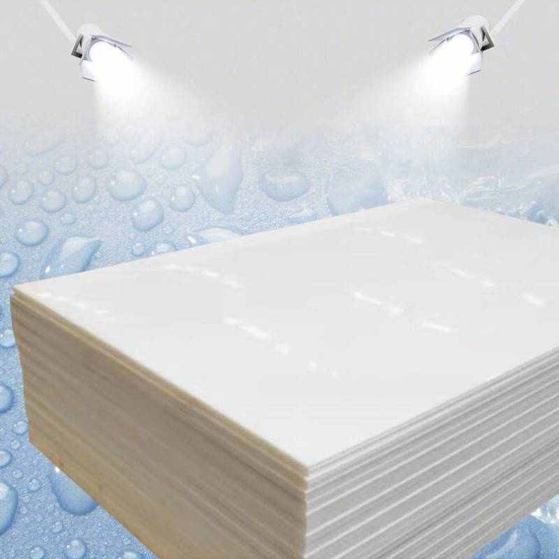 铸赢工业PP白色塑料硬胶板1M*2M*30mm*1块