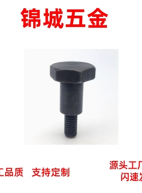 外六角型支点用台阶螺栓304不锈钢 CBDL4 CBDL5/6/8/10/12 MJK36