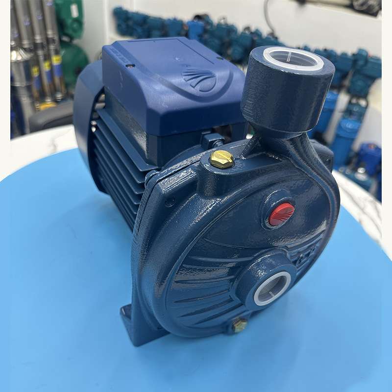 跨境cpm158自吸离心泵 意大利款家用热水地暖循环130管道增压水泵