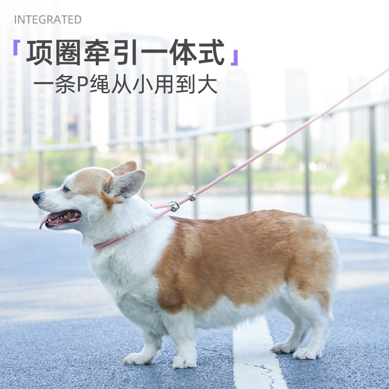 热销赛级P绳P链宠物狗狗的牵引绳遛狗大中小型犬通用训犬防爆冲防