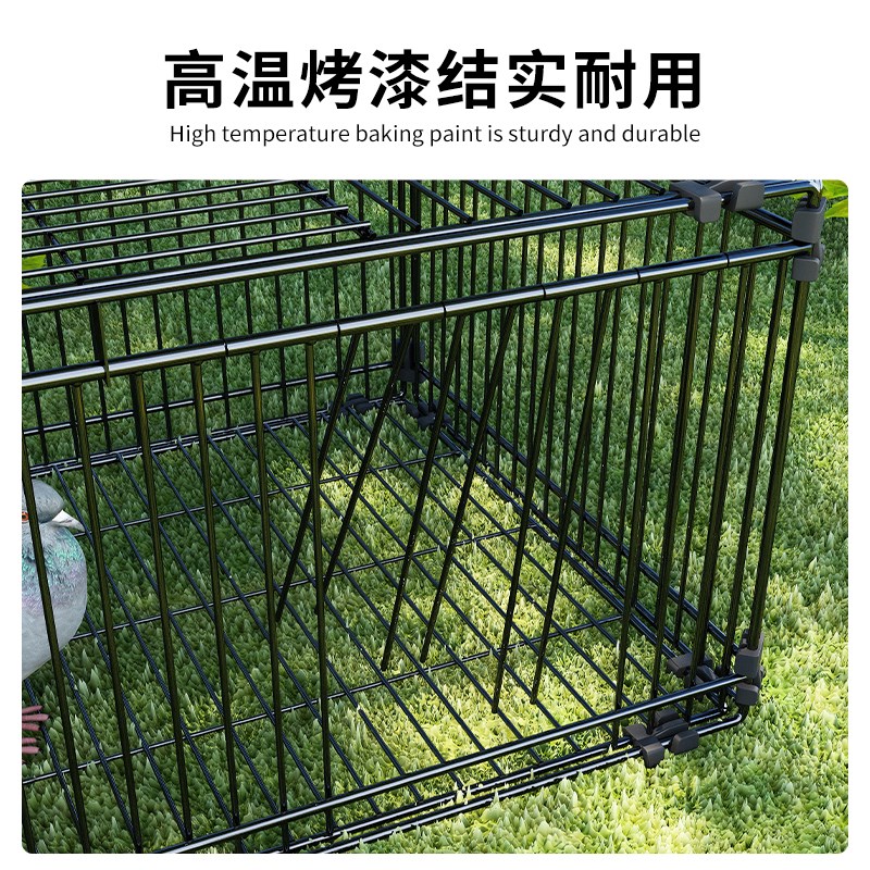 热销天落笼加密只进不出鸽子笼撞门笼活络门自动回收鸽子神器室外