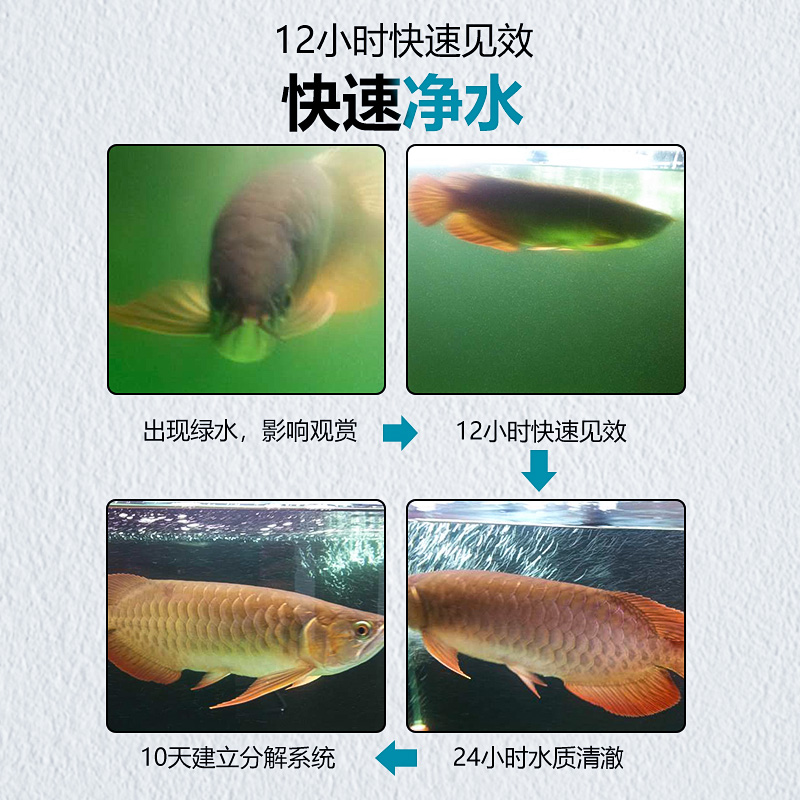 热销鱼缸净水剂水立清澄清水质清澈剂清水养鱼净化清洗剂免换水清