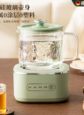 德国进口养生壶多功能大容量茶壶