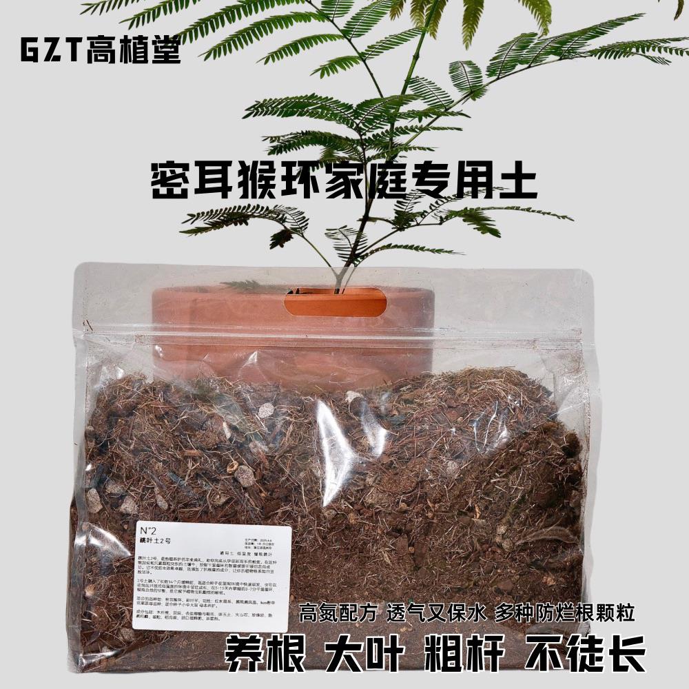 GZT·密叶猴土家庭专用土密叶猴耳环营养土避免叶尖发黄高速生长
