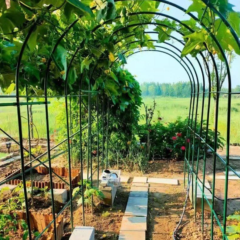 庭院爬藤架花园拱门铁艺爬藤花架月季支架户外钢管葡萄架绿萝架子