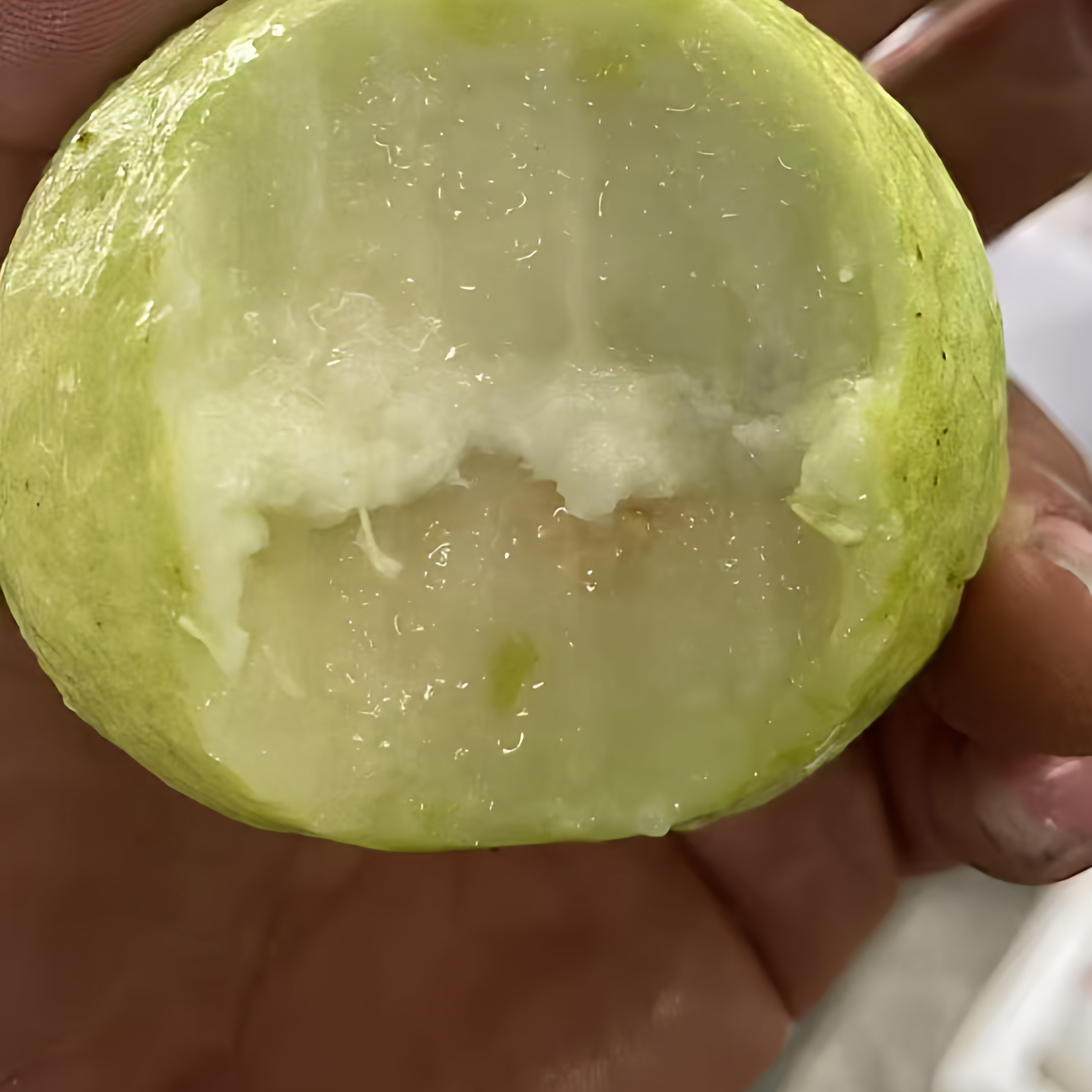 老树精品奶油芭乐番石榴软糯香甜当天采摘台湾漳州诏安中大果