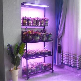 W7室内阳台多肉花架可挂补光灯多层日式块根植物架盆栽花盆架