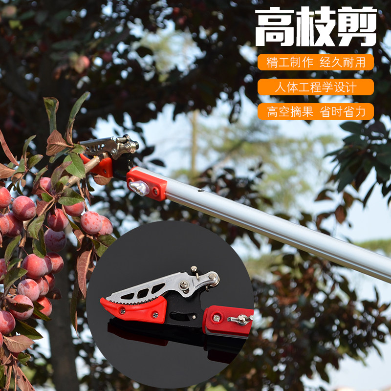 高空摘果修枝剪锯园艺伸缩省力采果神器香椿荔枝龙眼枇杷摘果工具