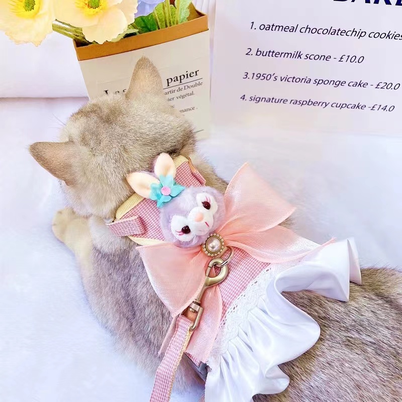 宠物猫咪狗狗胸背带牵引绳外出遛猫遛狗绳秋冬可爱玩偶牵引裙衣服