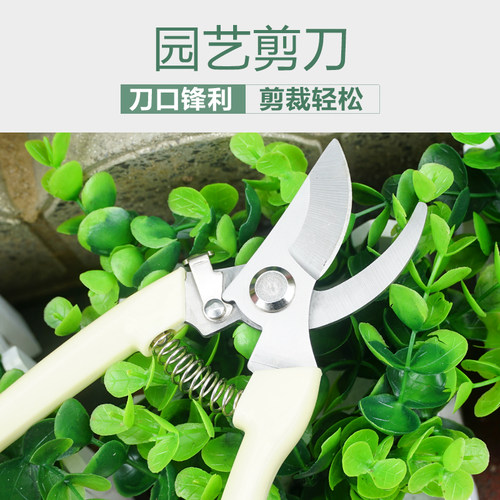 上水银花 园林剪果枝剪花枝剪子修枝剪园林剪刀家用剪子果树剪
