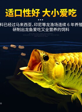 速倍妥龙鱼饲料红龙金龙银龙鱼专用鱼食鱼缸观赏鱼营养颗粒鱼粮