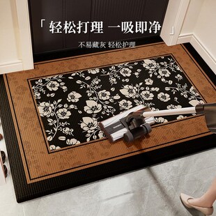 入户门地垫门口门外进门家用地毯2025新款 高级感耐脏防滑玄关脚垫