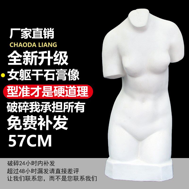 57CM少女躯干石膏像人物石膏头像美术教具画室素描写生人像雕塑