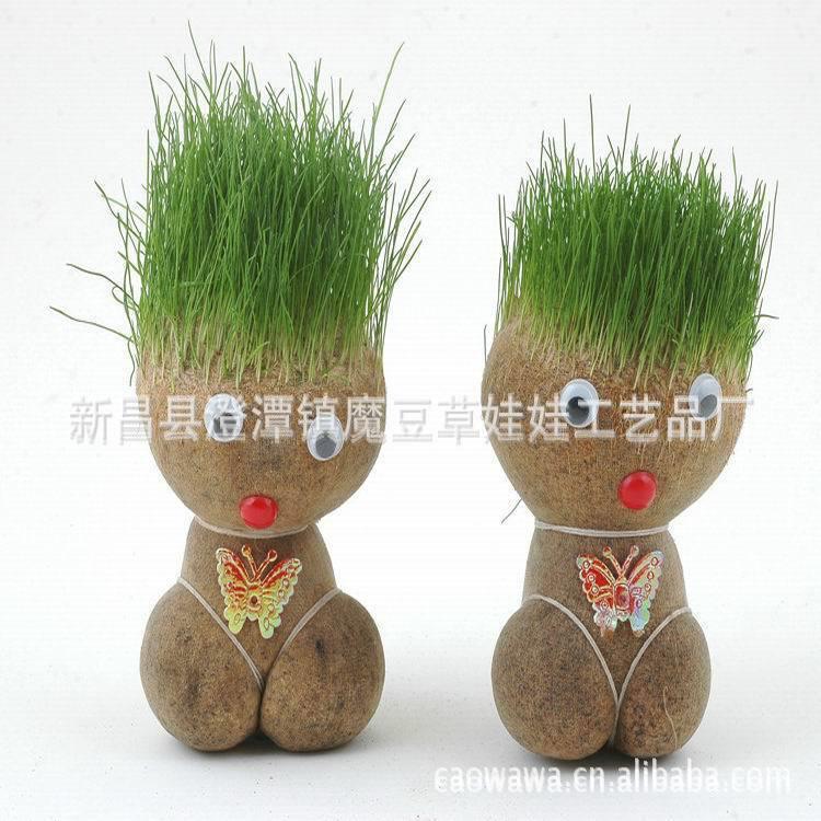新款直销大眼萌仔大平头哥中大号草头娃娃青草种植黑麦猫草长草植