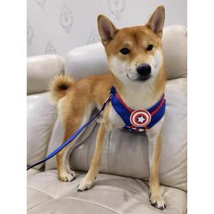 柴犬雪纳瑞中小型犬比熊贵宾泰迪宠物可脱卸遛狗绳伸缩牵引胸背衣