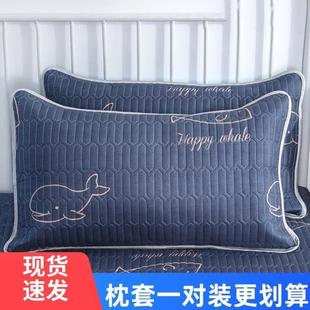 枕巾枕头套保护枕芯生螨家用48x74大号 防口水防头乳胶枕套一对装