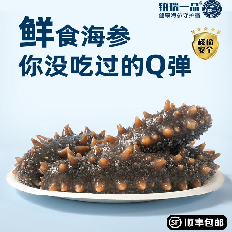 【三斤装】 即食海参鲜食海参大连海参辽参海参礼盒海参滋补礼品