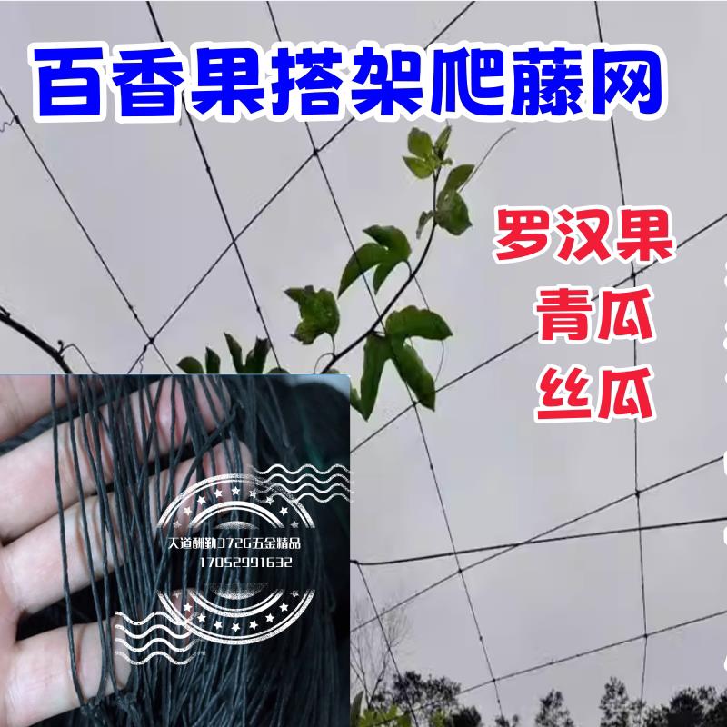 百香果棚网罗汉果搭棚篷架青瓜爬藤网攀丝瓜挂网种植豆角冬瓜佛手