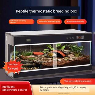恒温爬宠饲养箱乌龟过冬眠保温箱守宫盒鬃狮蜥蜴宠物角蛙爬虫动物
