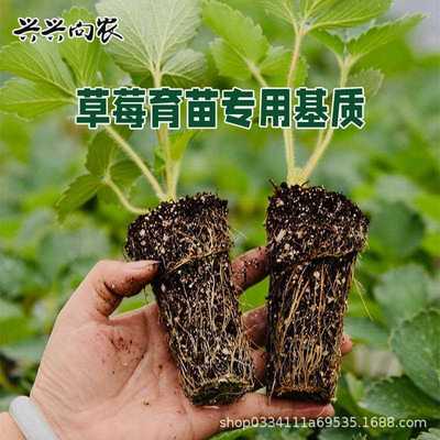 直销新款兴农草莓育苗土大量草莓营养土50升专用土基质种植土盆土