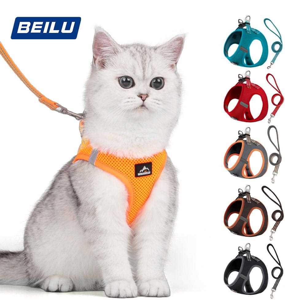 直销新款跨境亚马逊猫咪牵引绳 猫狗胸背带小型犬透气网布猫绳子