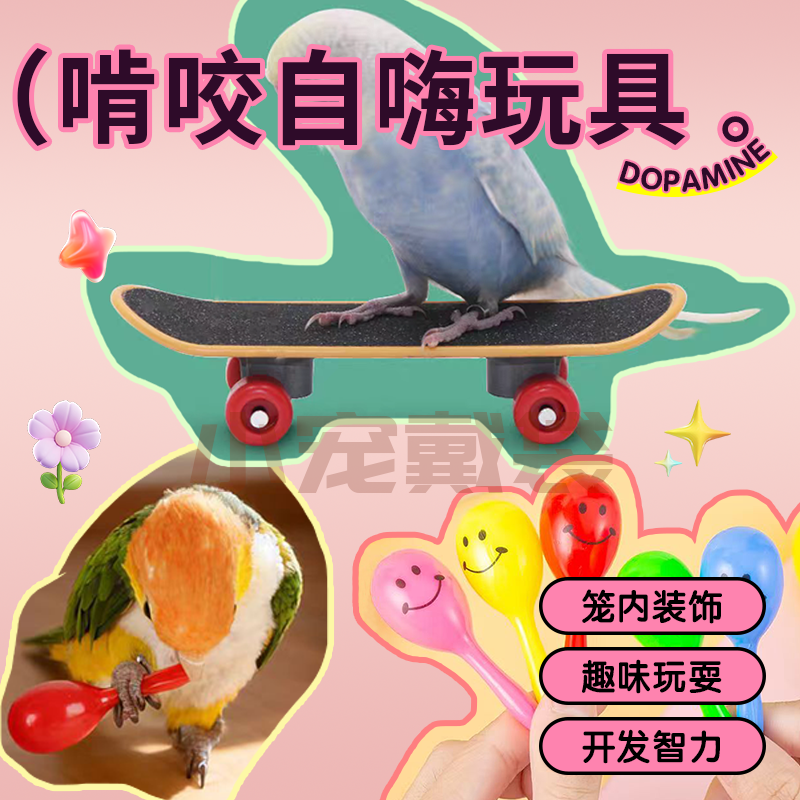 鹦鹉玩具解闷训练道具滑板沙锤套圈益智陪伴互动训练虎皮牡丹鸟类,宠物/宠物食品及用品,鸟玩具,淘宝优惠券,粉丝福利购,淘宝优惠卷