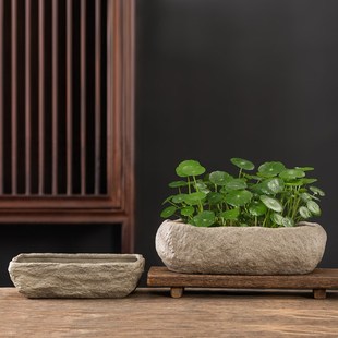 仿石头水培器皿长方形陶瓷花盆家用养铜钱草碗莲睡莲盆缸盆栽盆子