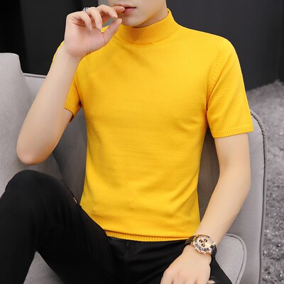 半高领毛衣短袖男款秋冬季u加厚针织衫半袖t恤线衣男士纯色打底衫