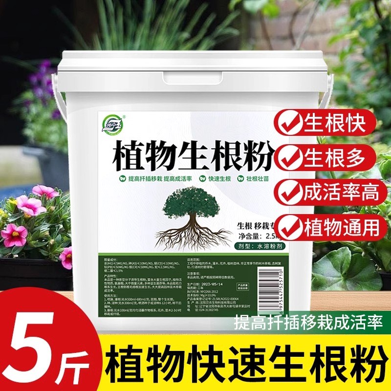 生根粉植物通用生根剂壮u苗剂快速生根液果树月季多肉植物扦插