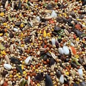 鹦鹉混合鸟粮牡丹玄凤中小鹦鹉鸟食饲F料谷子蔬菜蛋黄促进繁殖5斤