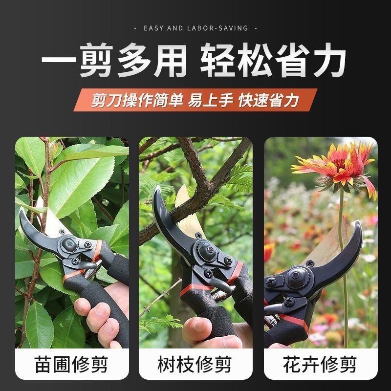 工艺SK5d修枝剪园艺剪树枝剪刀花艺剪花剪树剪子果树花木