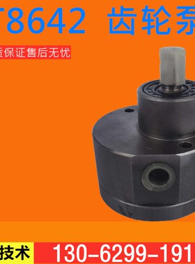 T8642双向齿轮油泵 盐城机床润滑油泵T8648润滑油泵