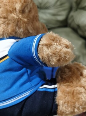 天津小外天津外大附校TFLS校服熊公仔娃娃