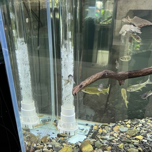 超白玻璃家用鱼缸底滤落地式屏风靠O墙超白鱼缸水族箱