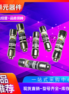 巴斯曼熔断器FWP-30A14Fa FWP-32A14Fa FWP-40A14Fa?FWP-50A14Fa