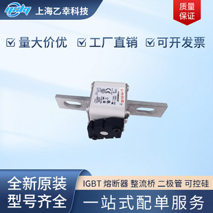 巴斯曼熔断器  170M4667 170M4668 170M4669 170M4670 170M4672