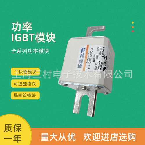 全新熔断器保险PC72GB69V250D1AT302697 PC72GB69V315D1A V302698