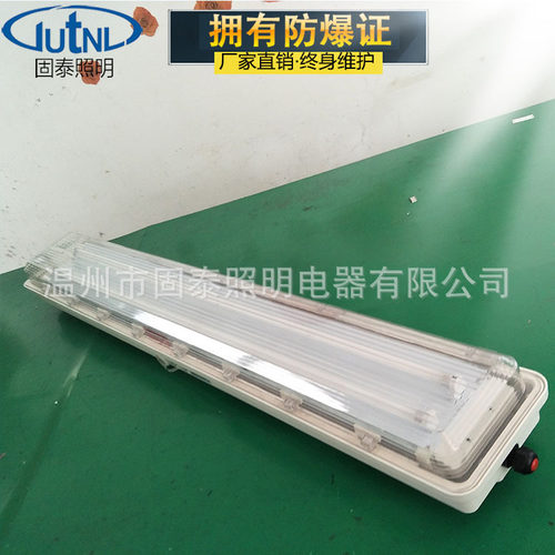 防爆双管荧光灯HRY81-Q28*2 吸顶装 防爆防腐全塑荧光灯