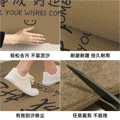 入户门地垫门外脚垫进门门口地毯网红耐脏免洗可擦门垫高级感垫子
