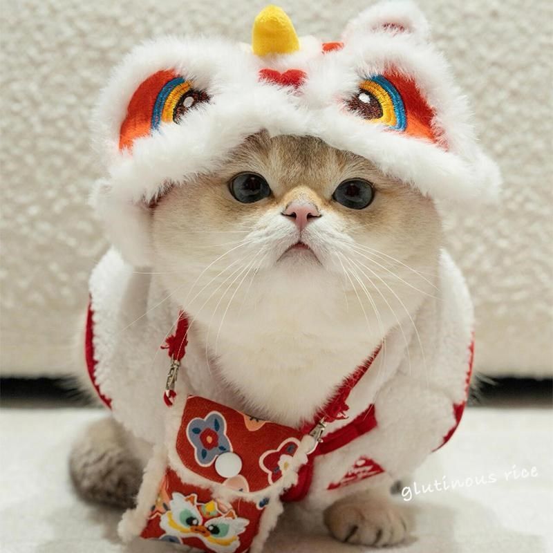 狗狗猫咪新年装扮宠物过年醒狮衣服舞狮帽子头饰蛇年拜年变装头套,宠物/宠物食品及用品,帽子,淘宝优惠券,粉丝福利购,淘宝优惠卷