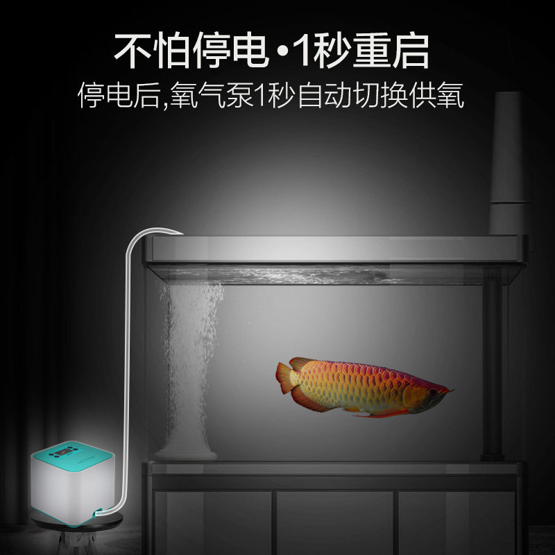 鱼呼吸充电氧气泵增氧泵便携式户外钓鱼缸家用养鱼超静音加充氧机