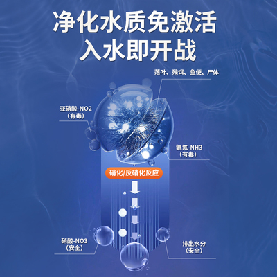硝化细菌鱼缸专用净水剂改善养鱼水质活菌稳定剂鱼药消化细菌鱼用