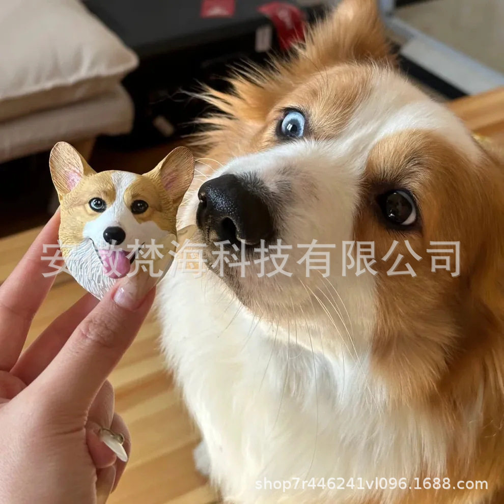 跨境爆款冰箱贴动物宠物头像石膏雕塑磁吸冰箱贴