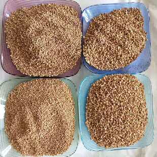 油水净化核桃壳滤料净水用核桃壳抛光核桃壳除油