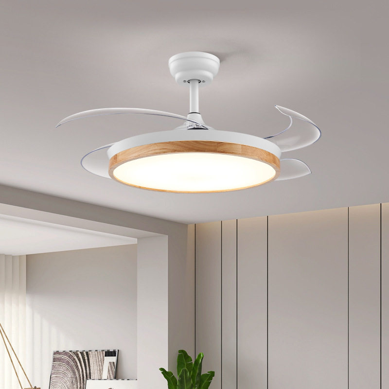 家用餐厅灯一体A客厅电风扇变频静音新款卧室隐形吊扇灯无,电子元器件市场,电线扎带/束线带,淘宝优惠券,粉丝福利购,淘宝优惠卷