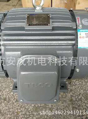 东元电机TEGH160M-4 15HP 11KW 4P AEEFF3 B3 IP55 50HZ