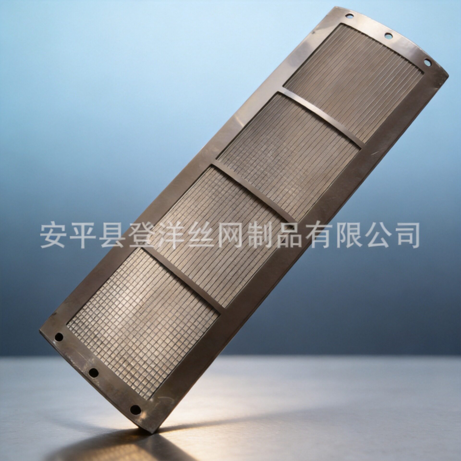 安平登洋定制污水处理多种规格R型回转转股式精密过滤器滤网