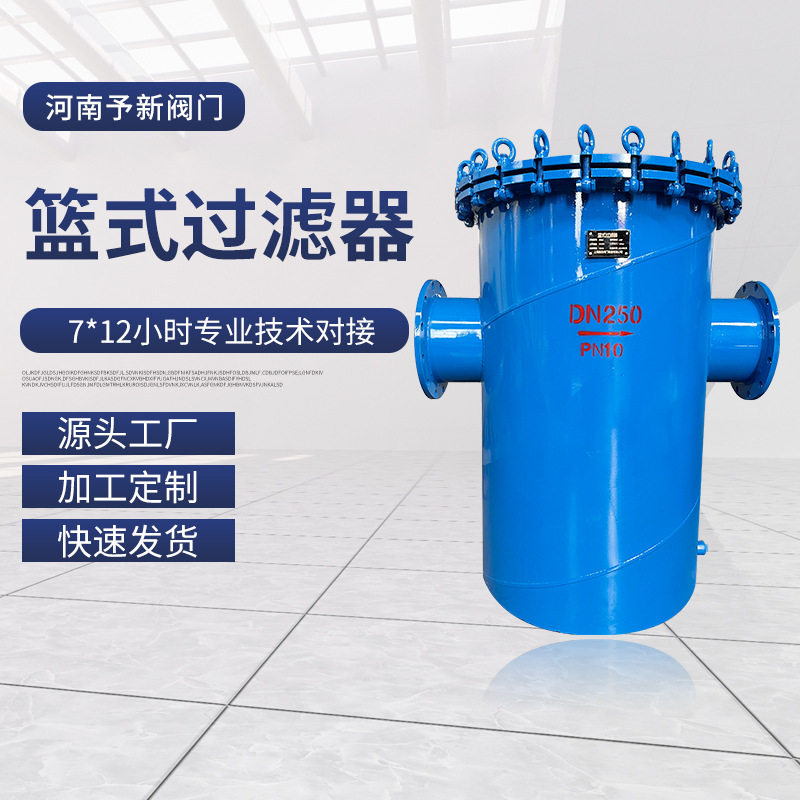 快开篮式管道过滤器4-300目