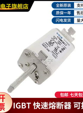 EATON巴斯曼低压熔断器170M3817 170M3818 170M3819